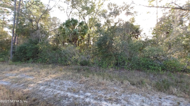 189 Lakeway Dr, Georgetown FL, 32139 land for sale