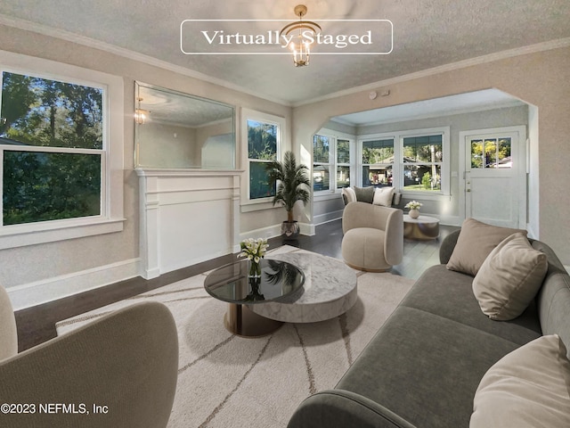 living room with ornamental molding, a textured ceiling, and hardwood / wood-style flooring