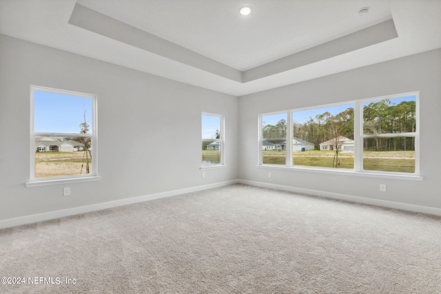 unfurnished room featuring a tray ceiling and carpet