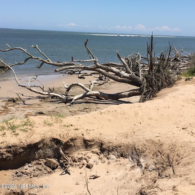 property view of water with a beach view