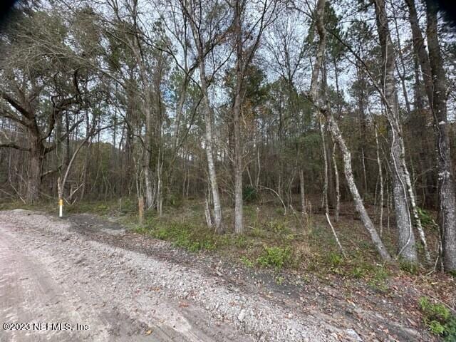 0 SE High Falls Rd, Lake City, FL 32025 - photo 3