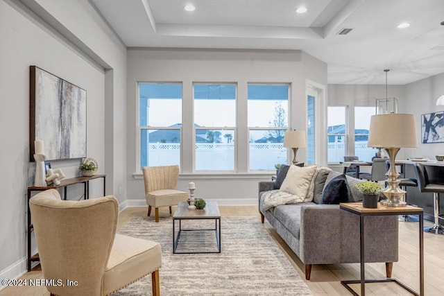 living room featuring light hardwood / wood-style floors and a raised ceiling