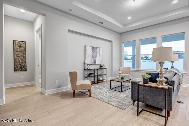 living room featuring light hardwood / wood-style flooring and a raised ceiling