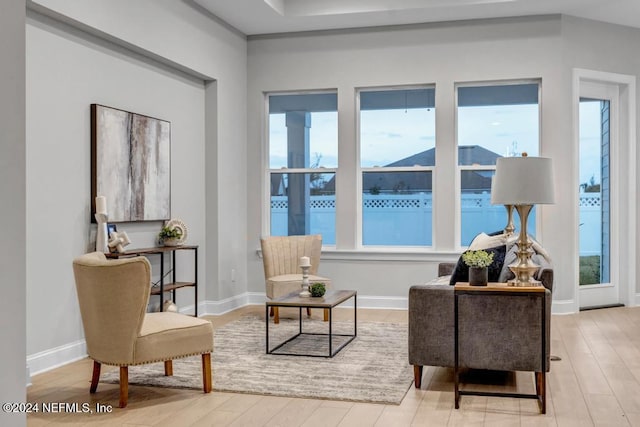 living area with light hardwood / wood-style floors