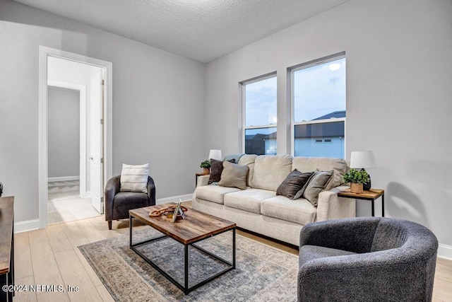 living room with a textured ceiling and light wood-type flooring