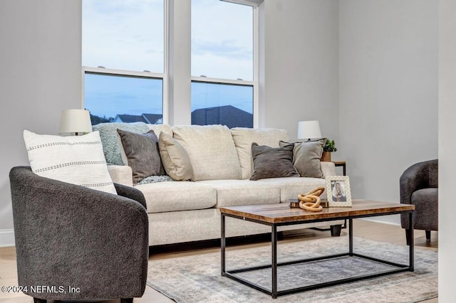 living room with light wood-type flooring