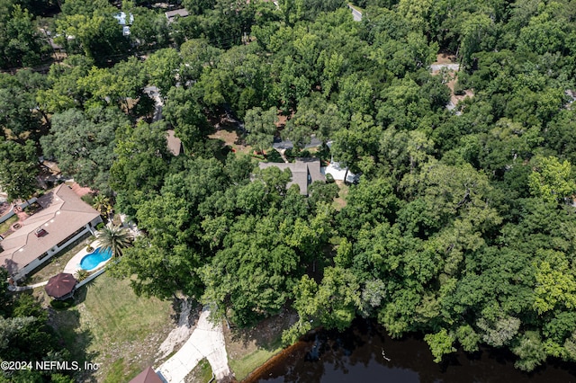 2321 Halperns Way, Middleburg, FL 32068 - photo 60