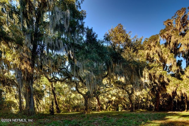 view of local wilderness with a view of trees