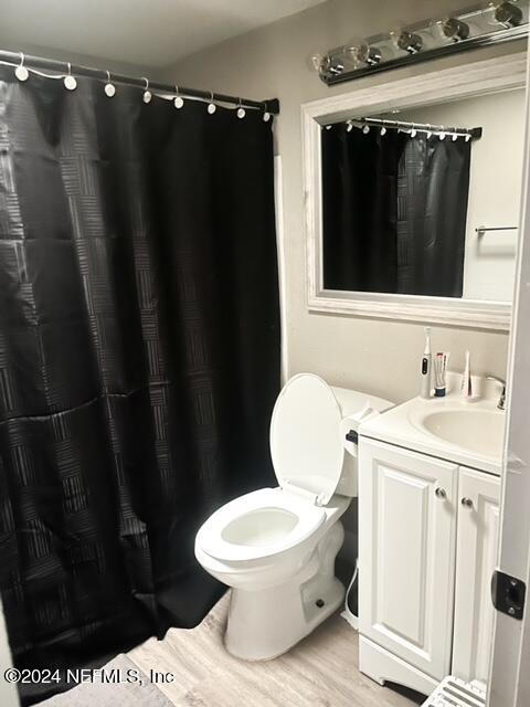 bathroom featuring toilet, vanity, and wood-type flooring