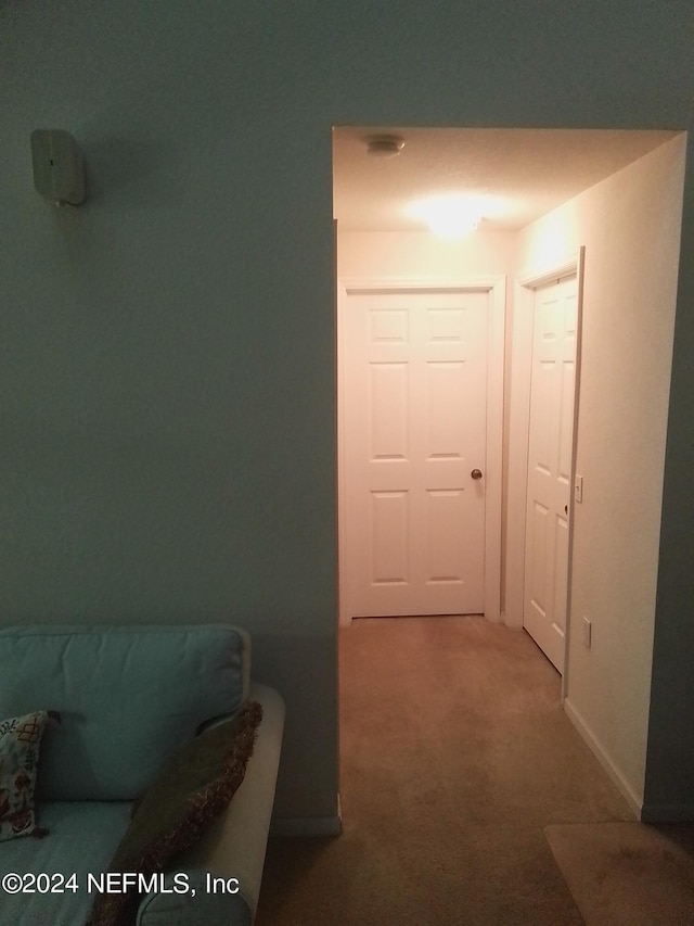 hallway featuring carpet flooring