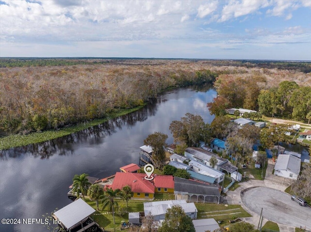 birds eye view of property featuring a water view and a wooded view