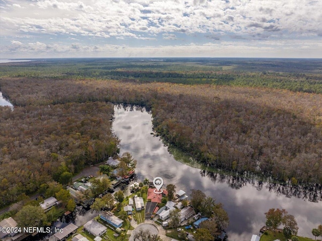 bird's eye view featuring a water view and a view of trees