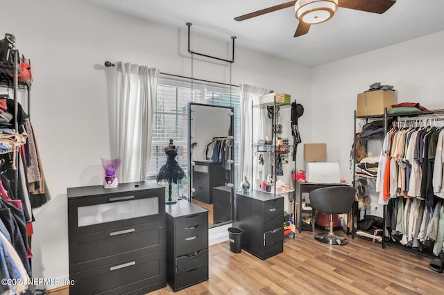 walk in closet featuring ceiling fan and light wood-type flooring