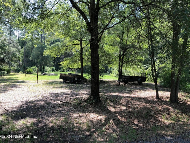 view of yard with a view of trees