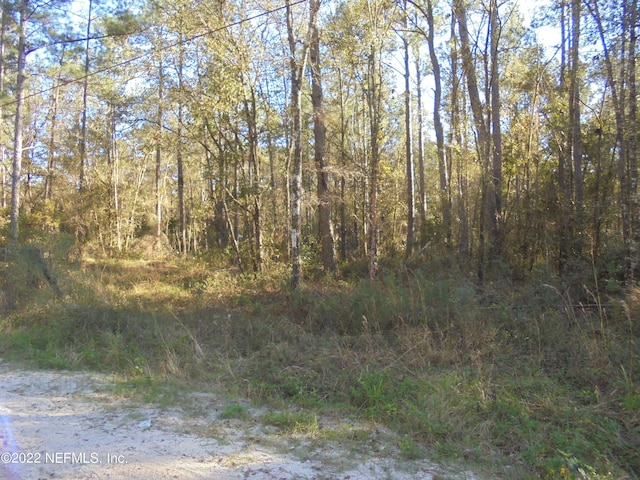 Listing photo 2 for 0 Inglewood Dr, Middleburg FL 32068