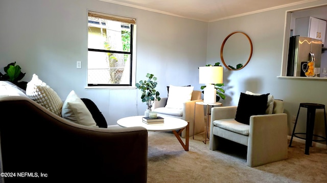 sitting room with crown molding and carpet floors