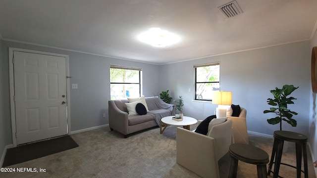 living room with carpet and crown molding