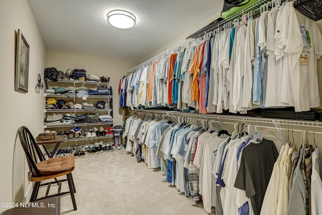 walk in closet with light colored carpet