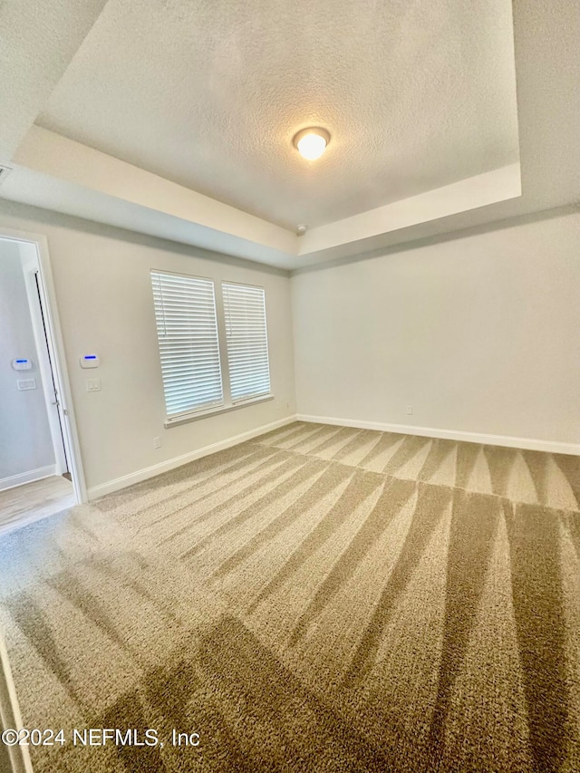 empty room with light colored carpet, a raised ceiling, and a textured ceiling