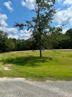 Listing photo 3 for 15460 Bullock Bluff Rd, Bryceville FL 32009