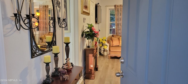 hallway featuring wood finished floors