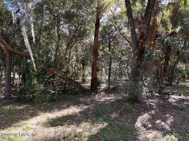 00-13 SE 265th Court Rd, Umatilla, FL 32784 - photo 24