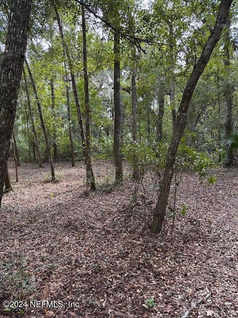 00-13 SE 265th Court Rd, Umatilla, FL 32784 - photo 23