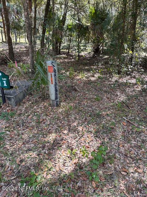 00-13 SE 265th Court Rd, Umatilla, FL 32784 - photo 26