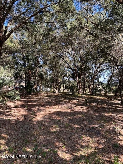 00-13 SE 265th Court Rd, Umatilla, FL 32784 - photo 29