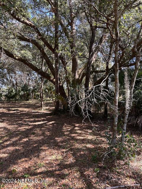 00-13 SE 265th Court Rd, Umatilla, FL 32784 - photo 30