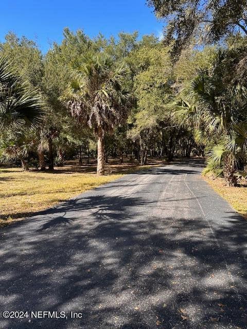 00-13 SE 265th Court Rd, Umatilla, FL 32784 - photo 31