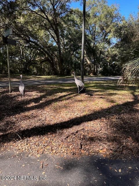 00-13 SE 265th Court Rd, Umatilla, FL 32784 - photo 33
