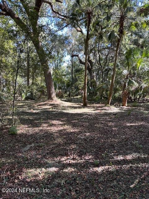 00-13 SE 265th Court Rd, Umatilla, FL 32784 - photo 35