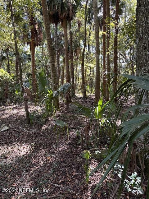 00-13 SE 265th Court Rd, Umatilla, FL 32784 - photo 36