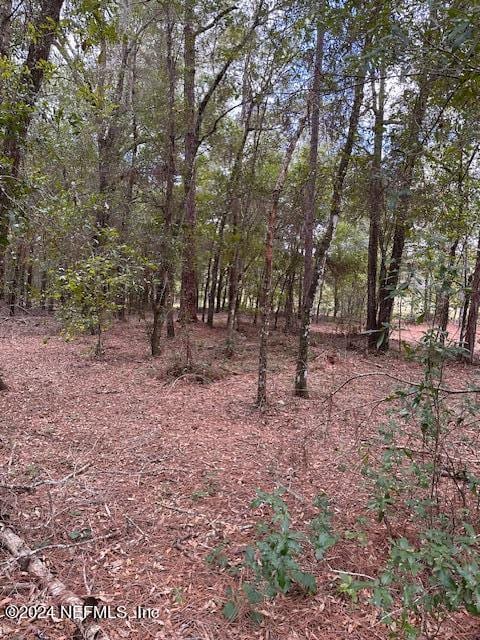 00-13 SE 265th Court Rd, Umatilla, FL 32784 - photo 40