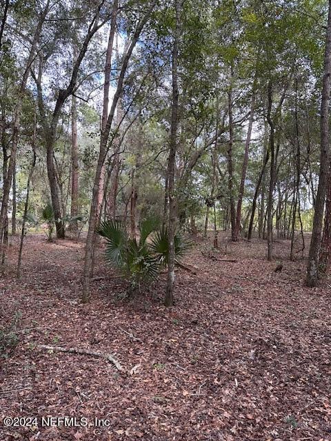 00-13 SE 265th Court Rd, Umatilla, FL 32784 - photo 42
