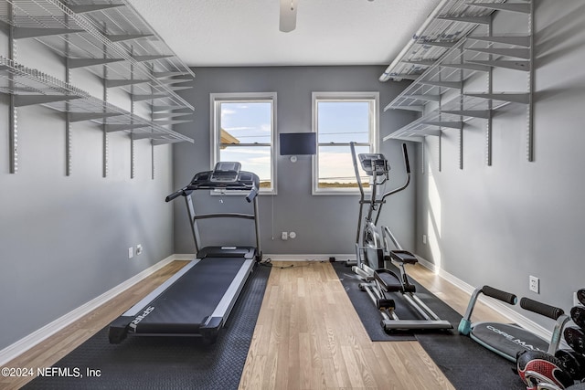 workout area featuring dark hardwood / wood-style floors and ceiling fan