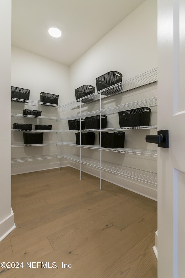 spacious closet featuring wood-type flooring