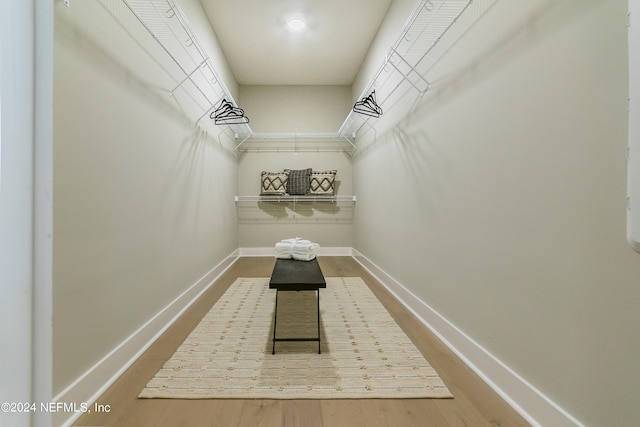 spacious closet featuring wood-type flooring