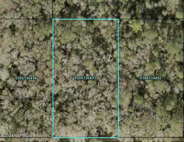 4620 Calvin St, Hastings FL, 32145 land for sale