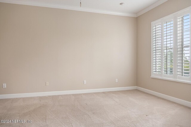 carpeted spare room featuring a wealth of natural light and ornamental molding