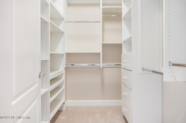 spacious closet with light colored carpet