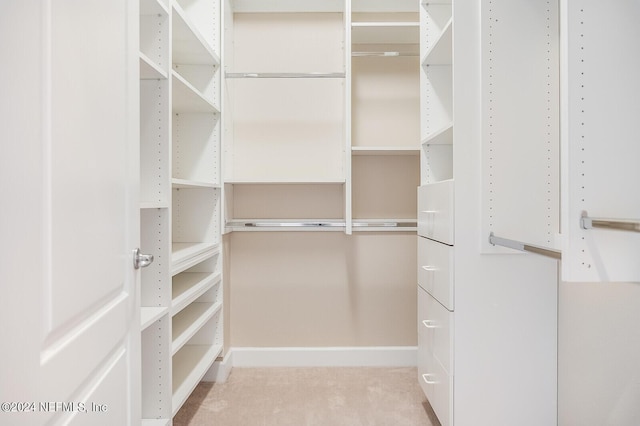 13846 Atlantic Blvd Unit 902, Jacksonville, FL 32225 - view of walk in closet