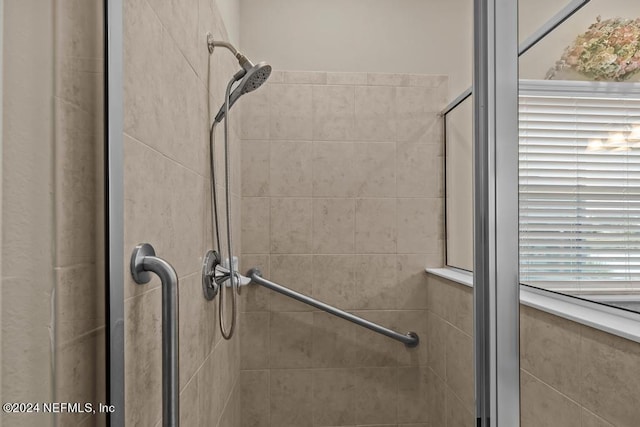 details with a shower with door