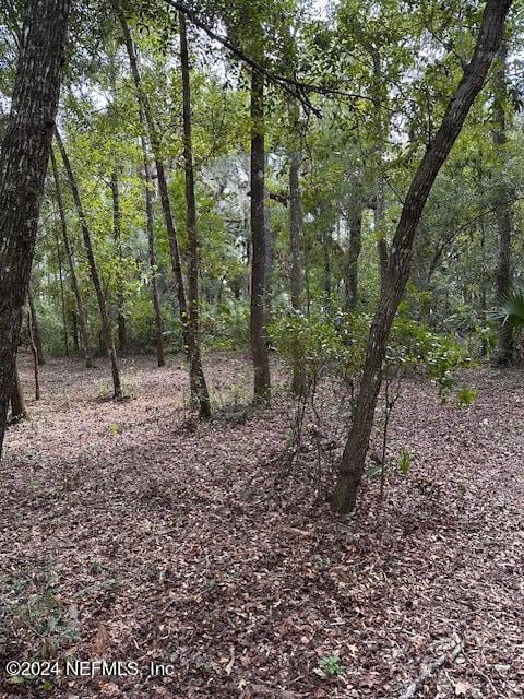 view of local wilderness