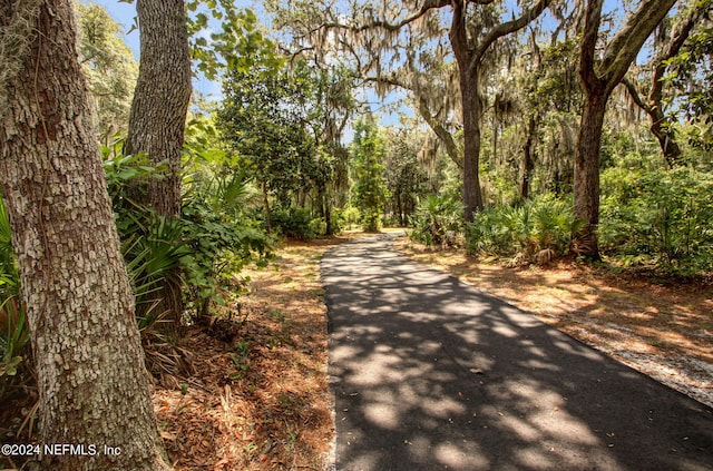 view of street with a wooded view