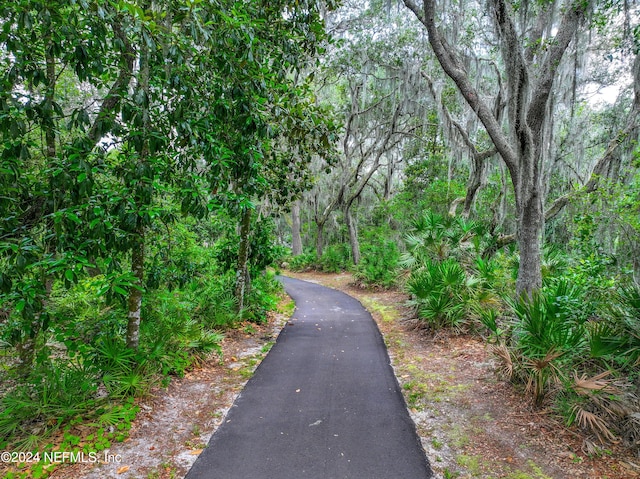 view of road with a view of trees