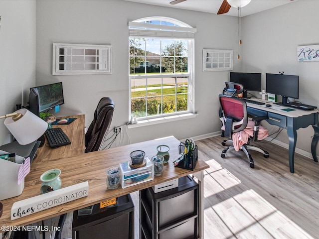 office space with ceiling fan and light hardwood / wood-style flooring