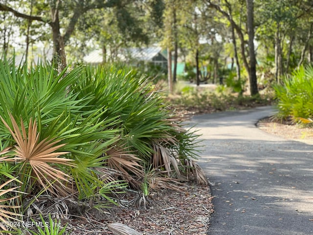 view of home's community