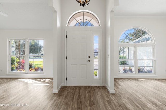 foyer with wood-type flooring and a wealth of natural light